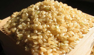 糙米产地是哪里，糙米的产地在哪里